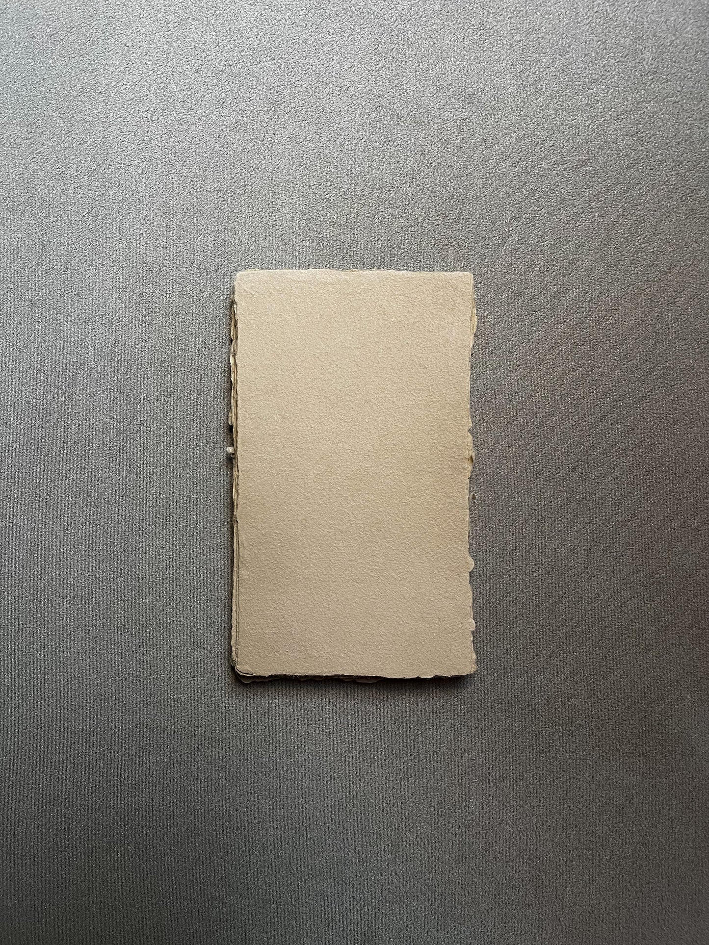Biscuit Sheets · DIN S · 20 pcs