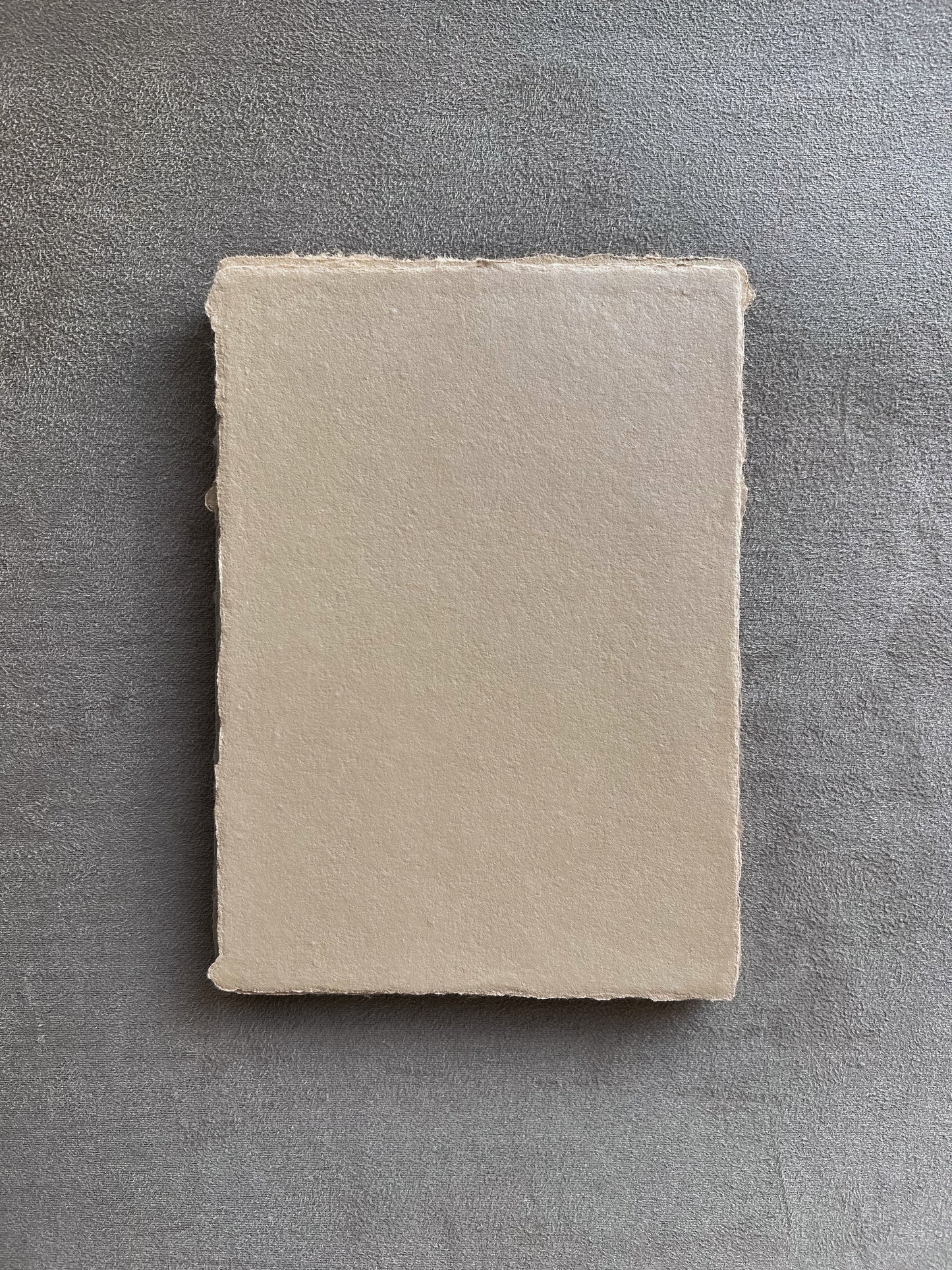 Biscuit Sheets · DIN B6 · 20 pcs