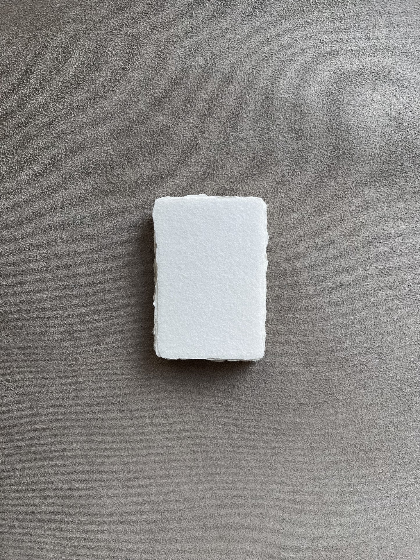 Meringue Place- / Business Cards · 20 pcs