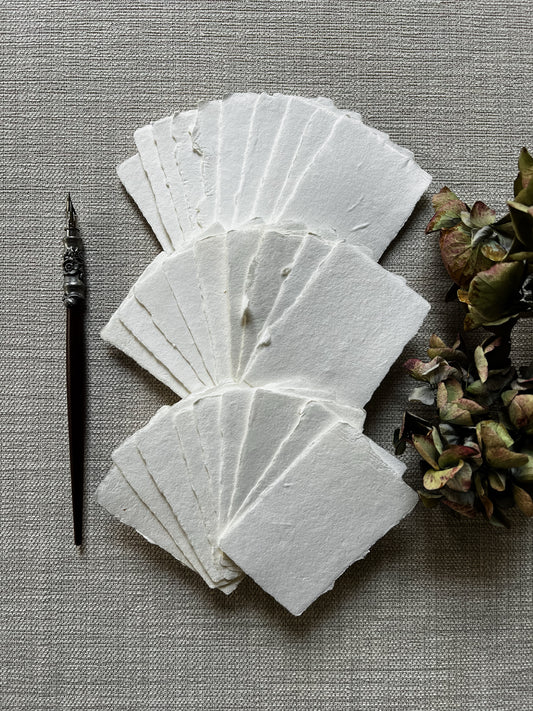 Meringue Place- / Business Cards · Outlet