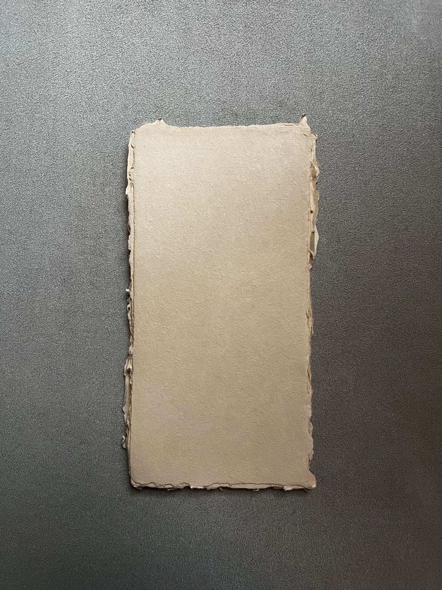 Biscuit Sheets · DIN L · 20 pcs