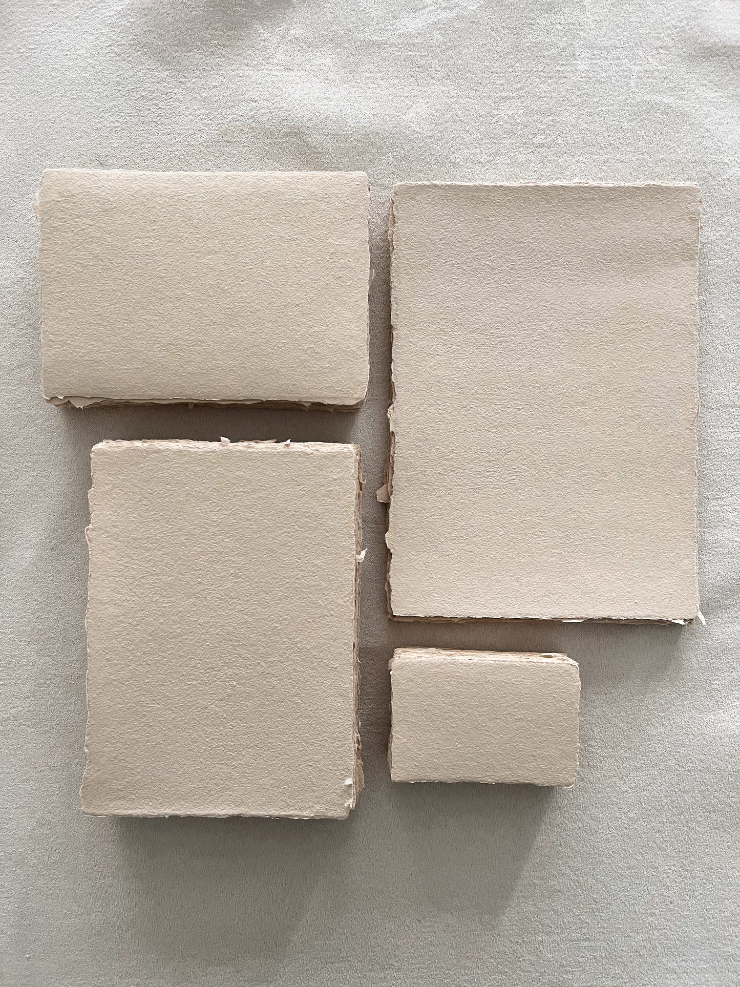Biscuit Sheets · DIN L · 20 pcs