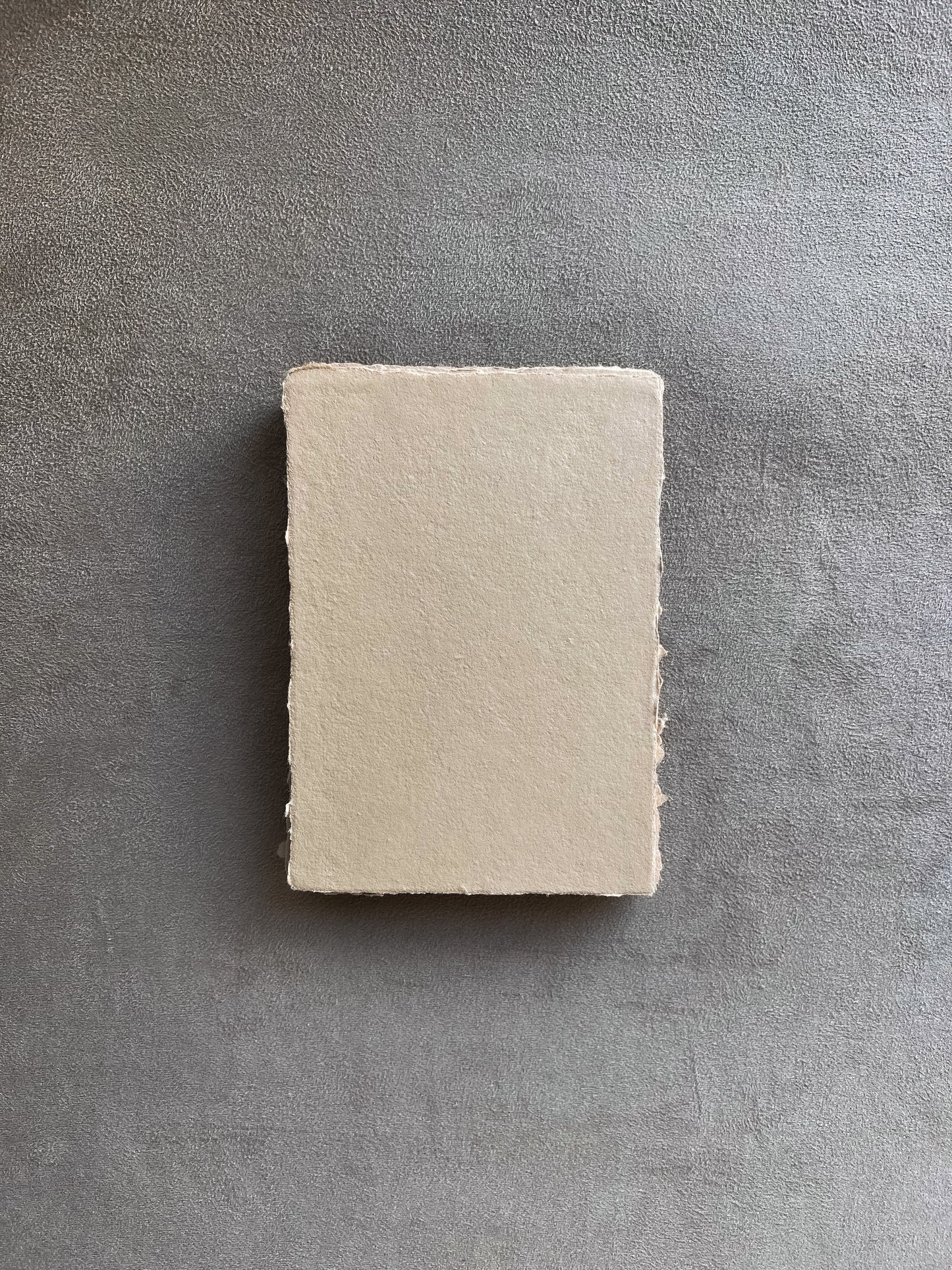 Biscuit Sheets · DIN A6 · 20 pcs
